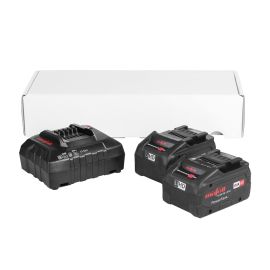 99Wh Batteries & Charger Set